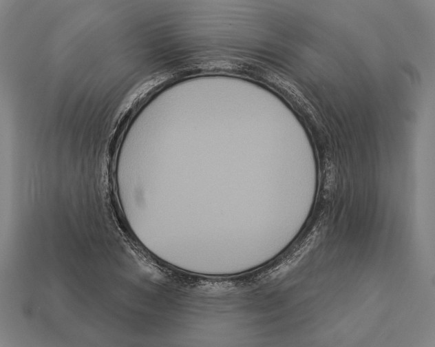 X0000113060978200909250905