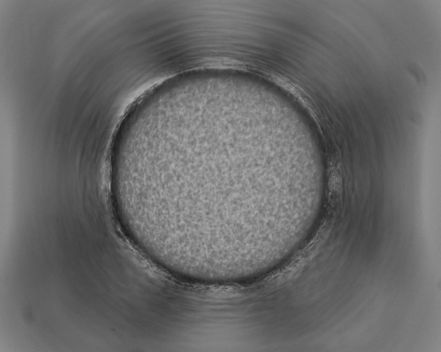 X0000113060979200909250905