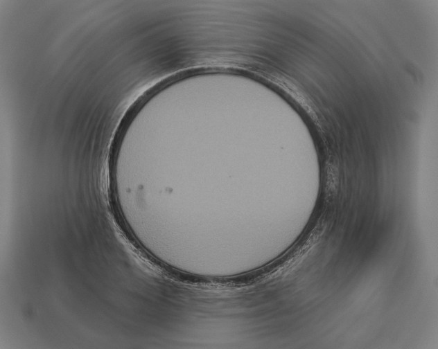 X0000113060980200909250905