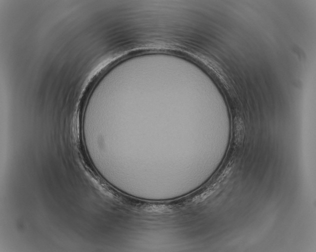 X0000113060982200909250905