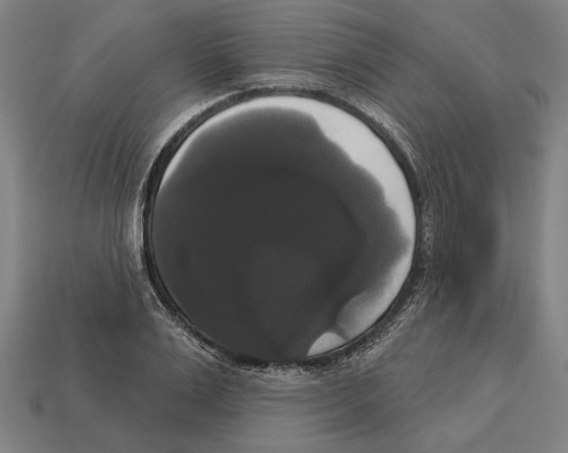 X0000113060983200909250905