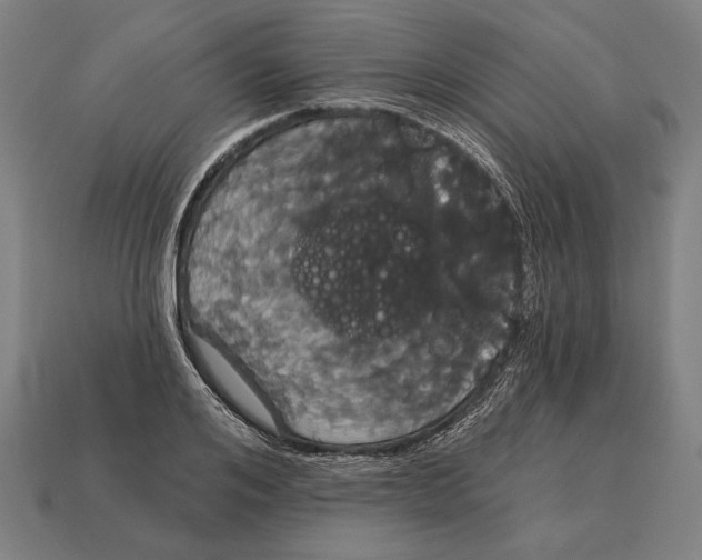 X0000113060984200909250905