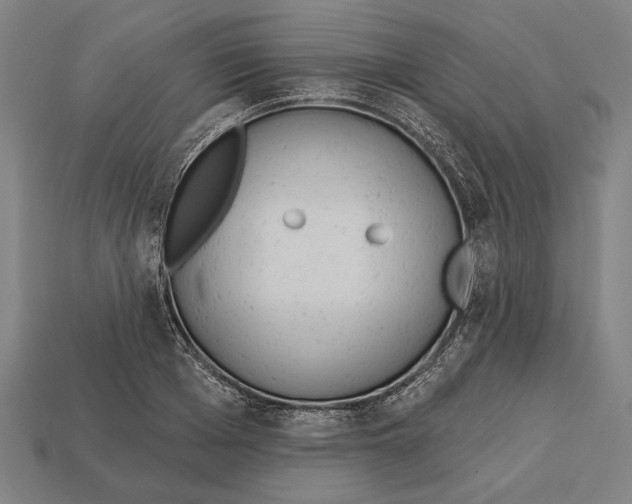 X0000113060985200909250905