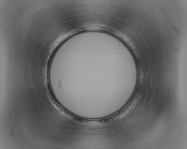 X0000113060986200909250905