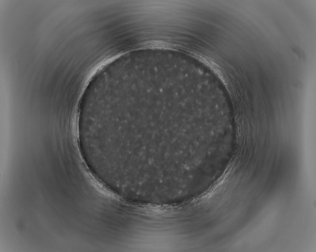 X0000113060987200909250905