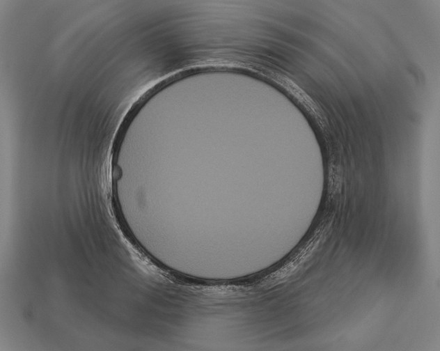 X0000113060988200909250905