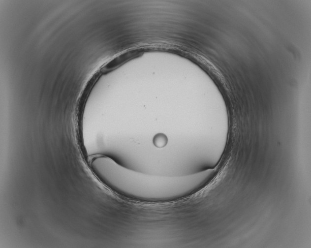 X0000113060989200909250905