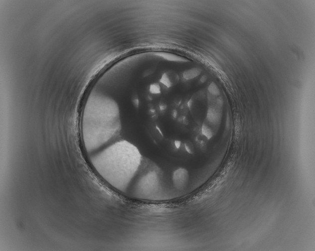 X0000113060990200909250905