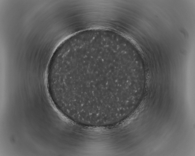 X0000113060991200909250905