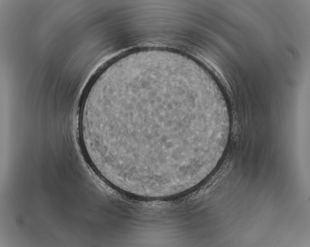 X0000113060992200909250905