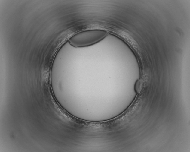 X0000113060993200909250905