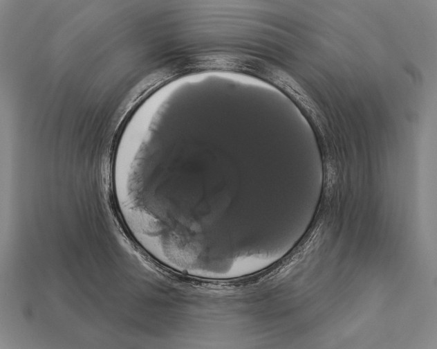 X0000113060994200909250905