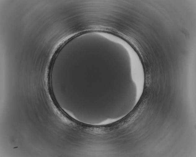 X0000113060995200909250905