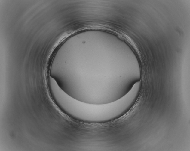 X0000113060997200909250905