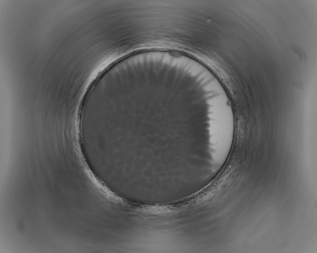 X0000113060998200909250905