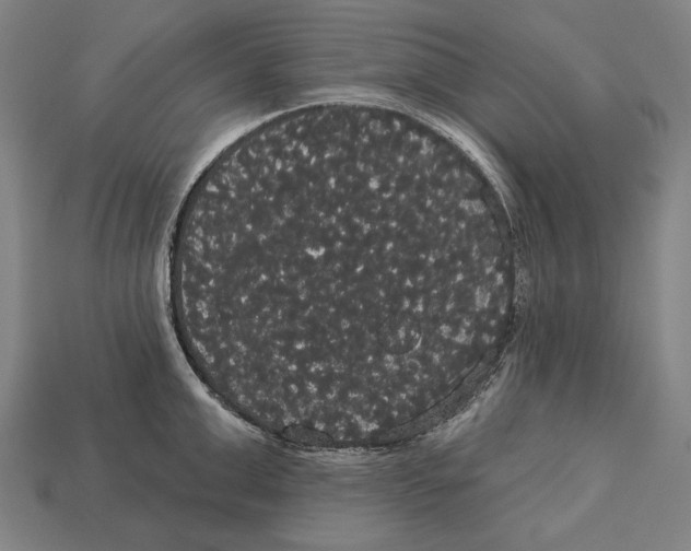 X0000113060999200909250905