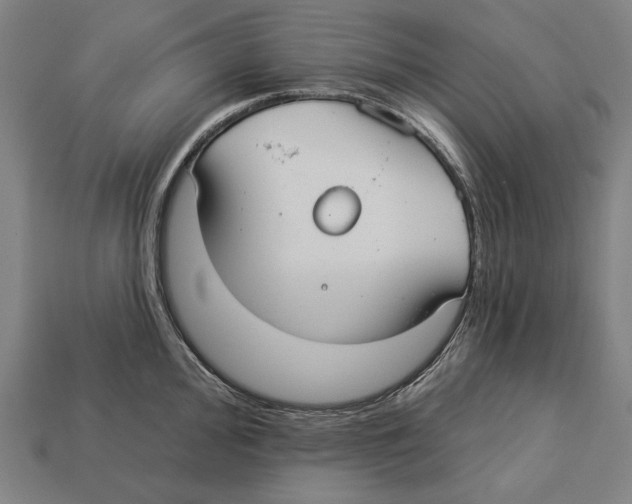 X0000113061000200909250905