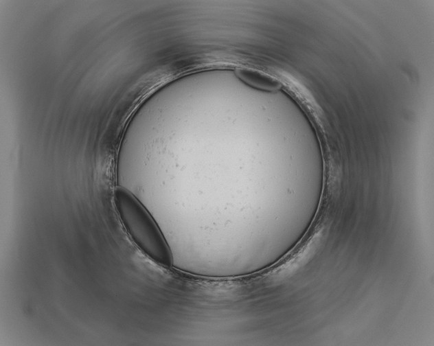 X0000113061001200909250905