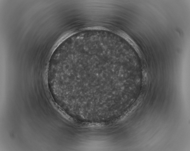 X0000113061002200909250905