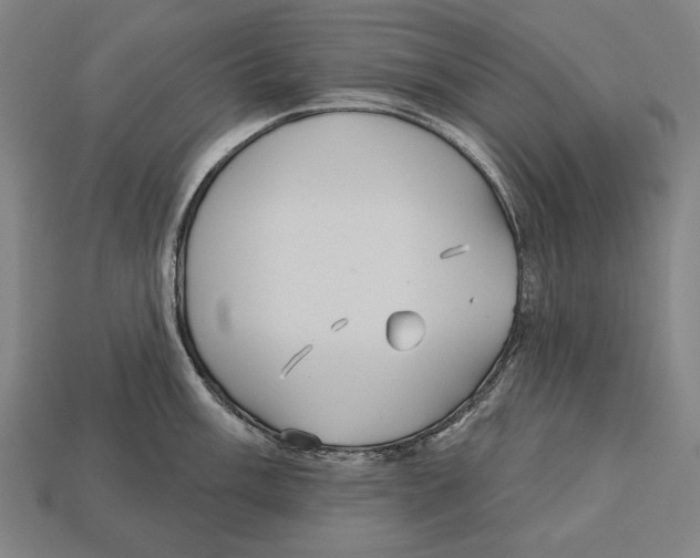 X0000113061003200909250905