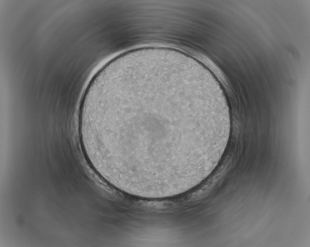 X0000113061004200909250905