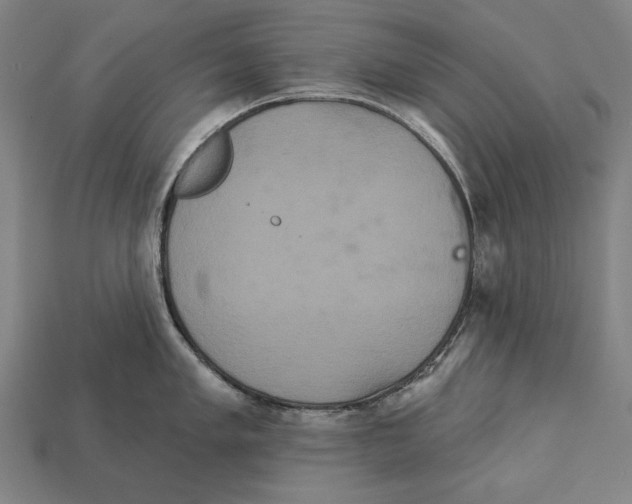 X0000113061005200909250905