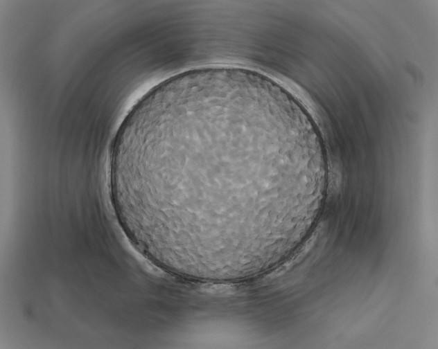 X0000113061006200909250905