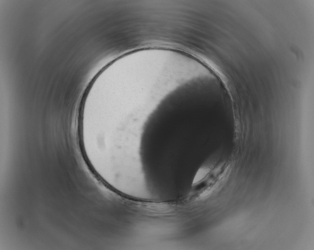 X0000113061007200909250905