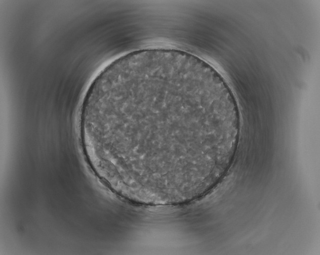 X0000113061008200909250905