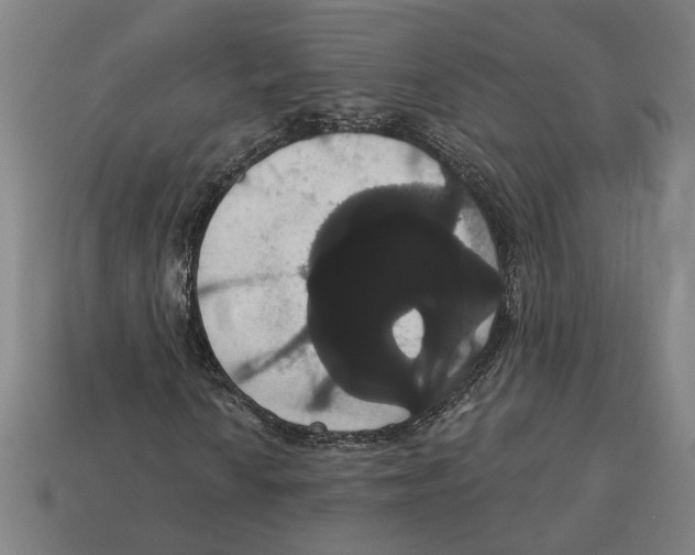 X0000113061010200909250904