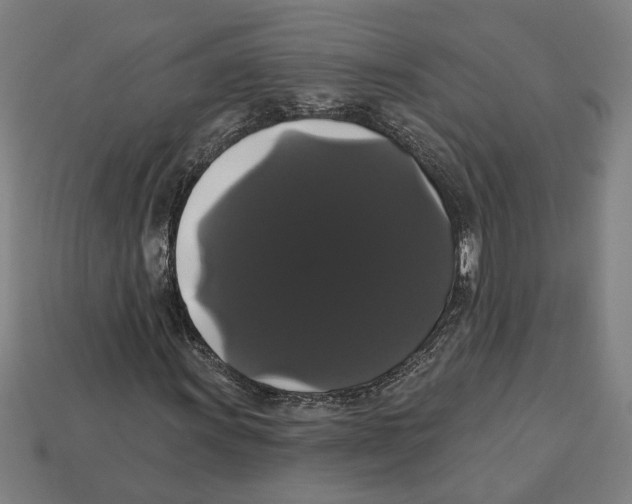 X0000113061011200909250904