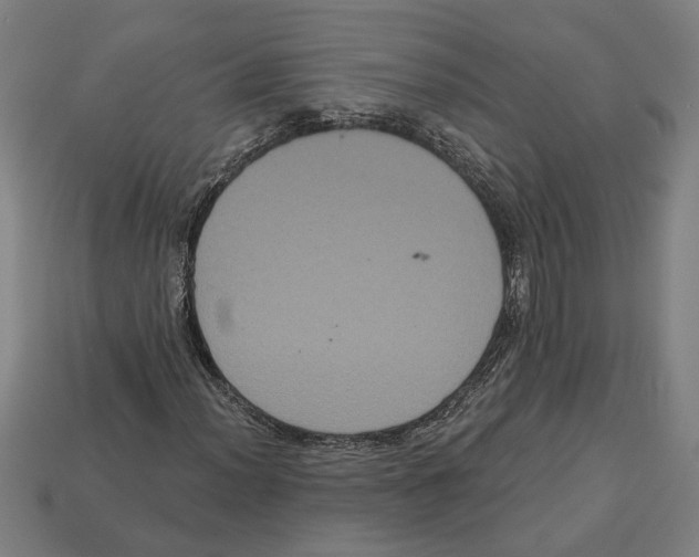 X0000113061012200909250904