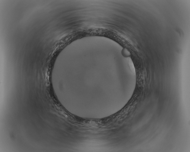 X0000113061013200909250904