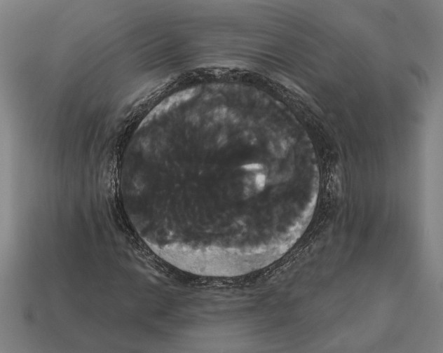 X0000113061014200909250904