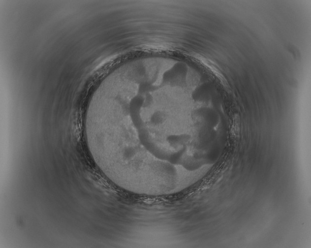 X0000113061015200909250904