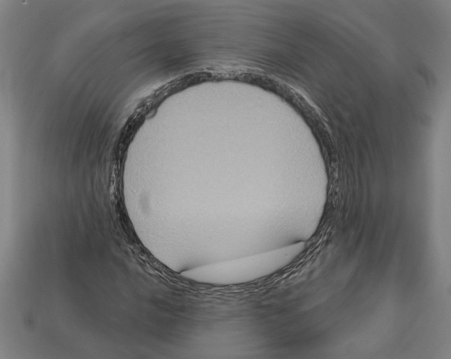 X0000113061016200909250904