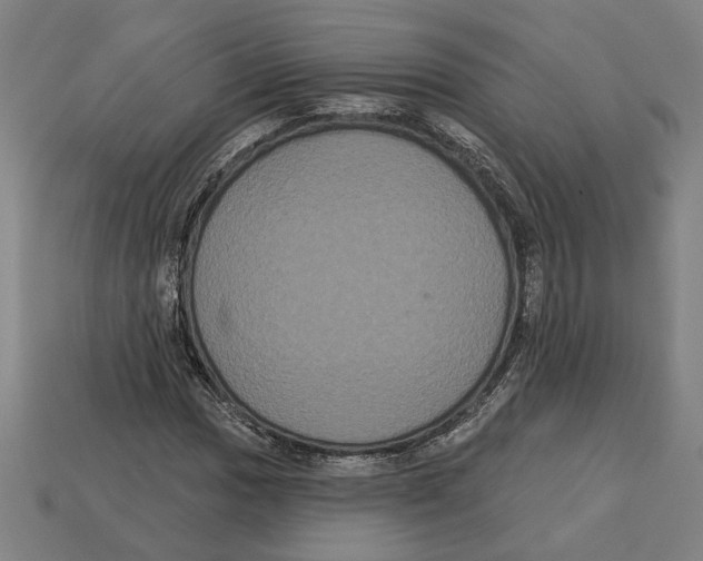 X0000113061017200909250904