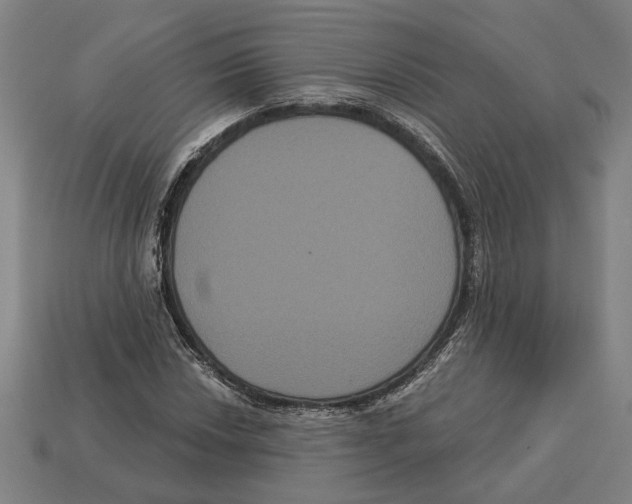 X0000113061018200909250904