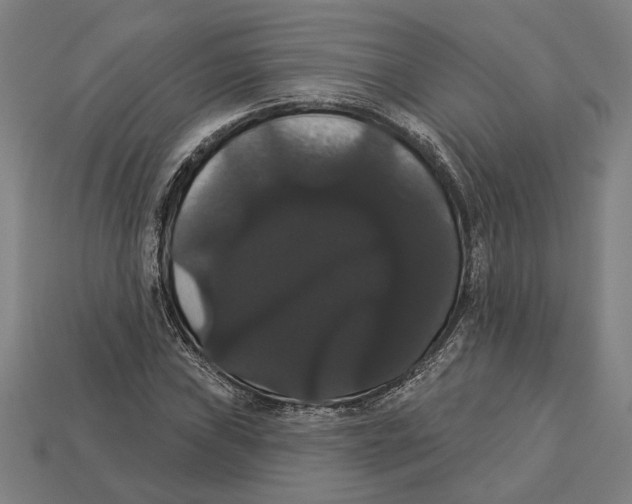 X0000113061019200909250904