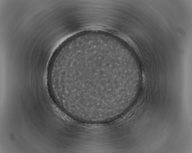 X0000113061020200909250904