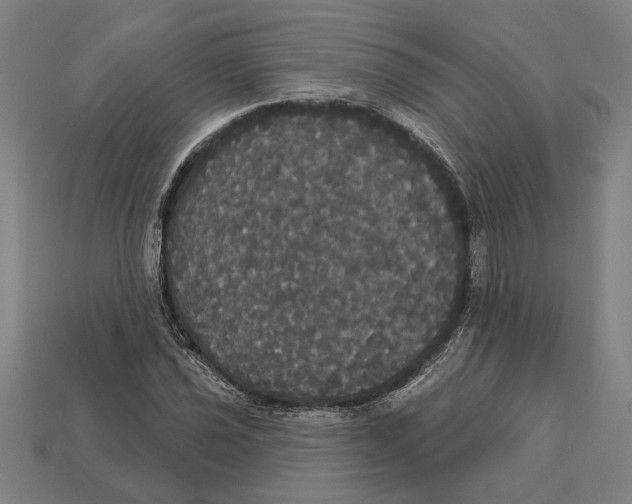 X0000113061021200909250904