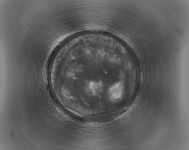 X0000113061022200909250904