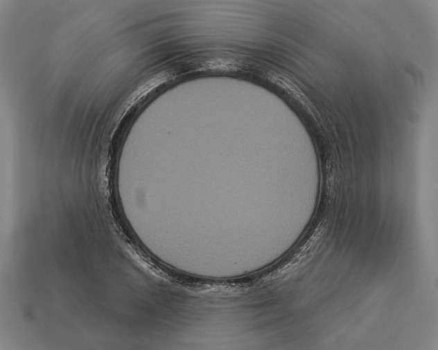 X0000113061026200909250904