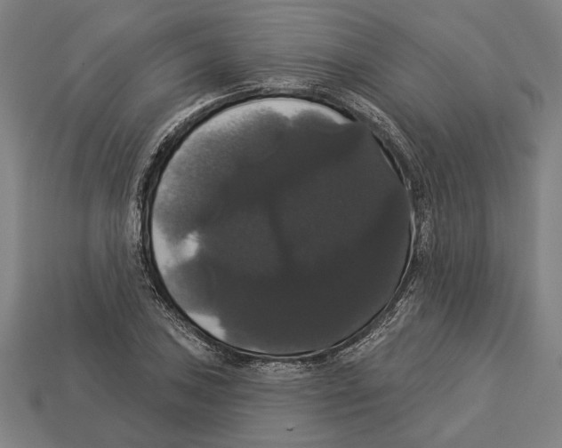 X0000113061027200909250904