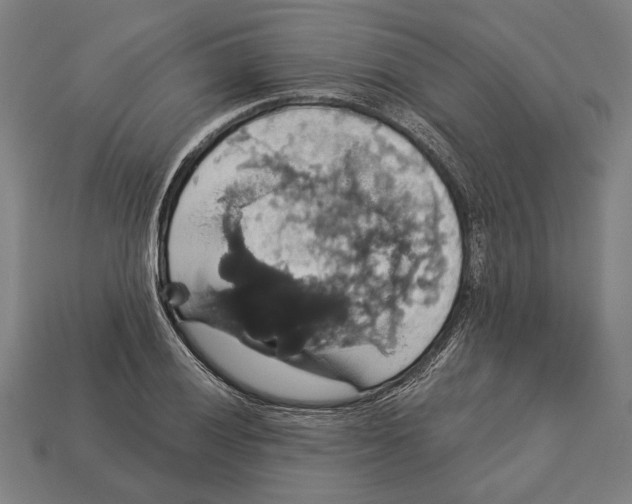 X0000113061028200909250904