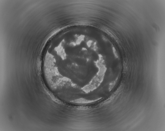 X0000113061029200909250904