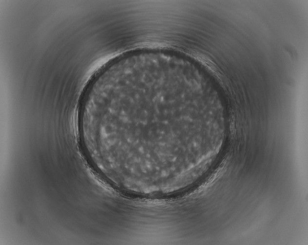 X0000113061030200909250904