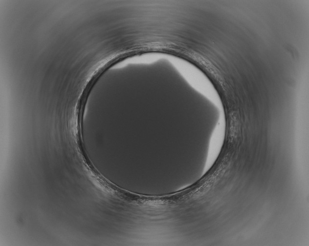 X0000113061031200909250904