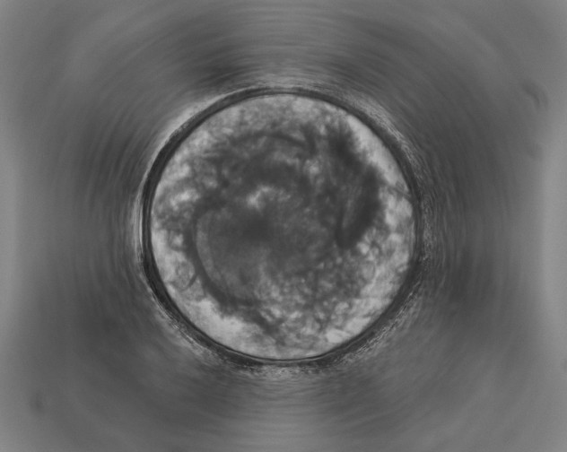 X0000113061032200909250904