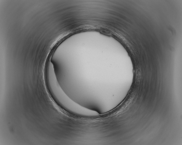 X0000113061034200909250904